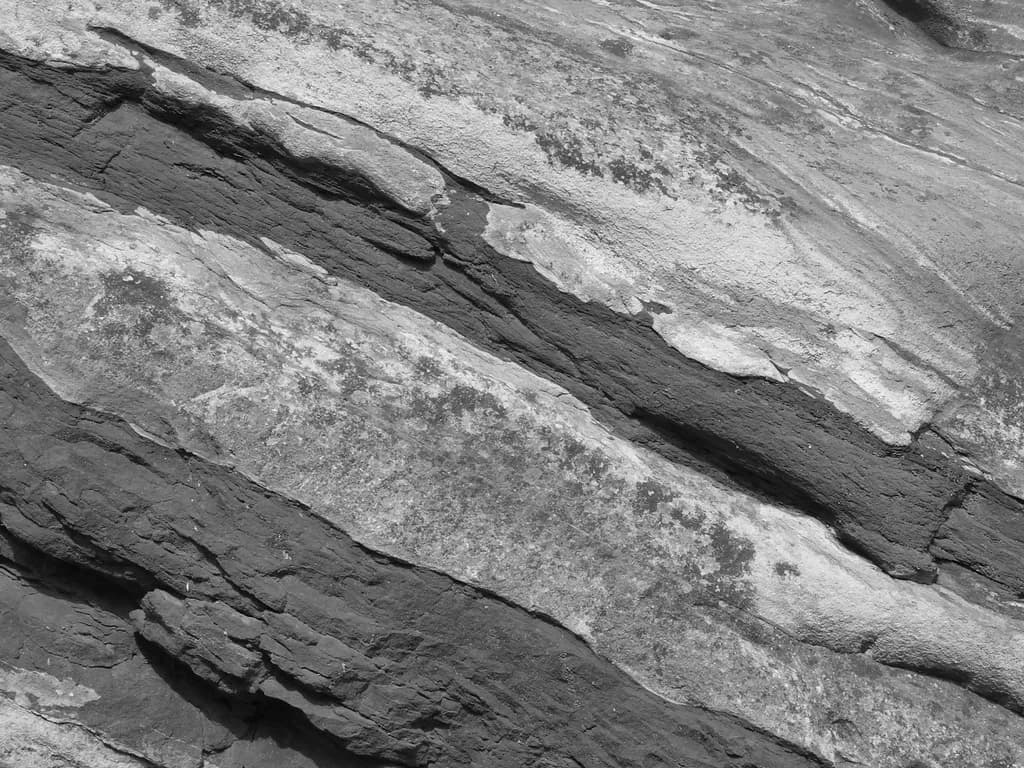 Monochrome Symphony: The Textured Dance of Rock and Nature