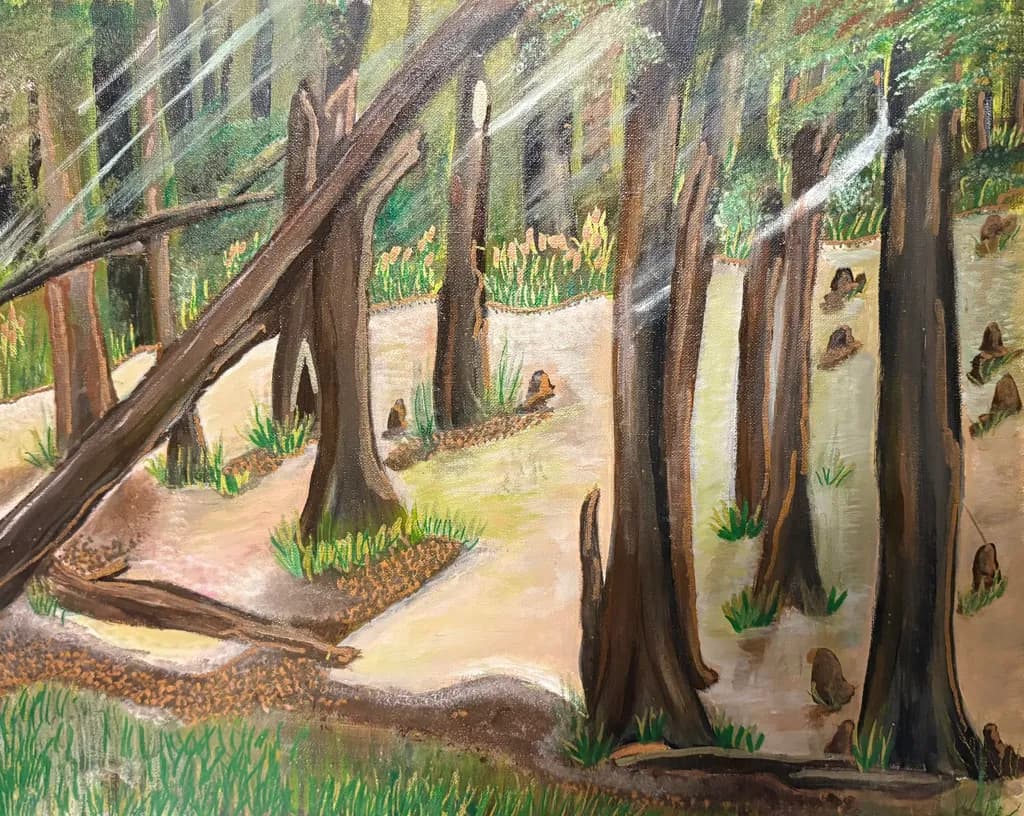 Sunlit Grove Shadows