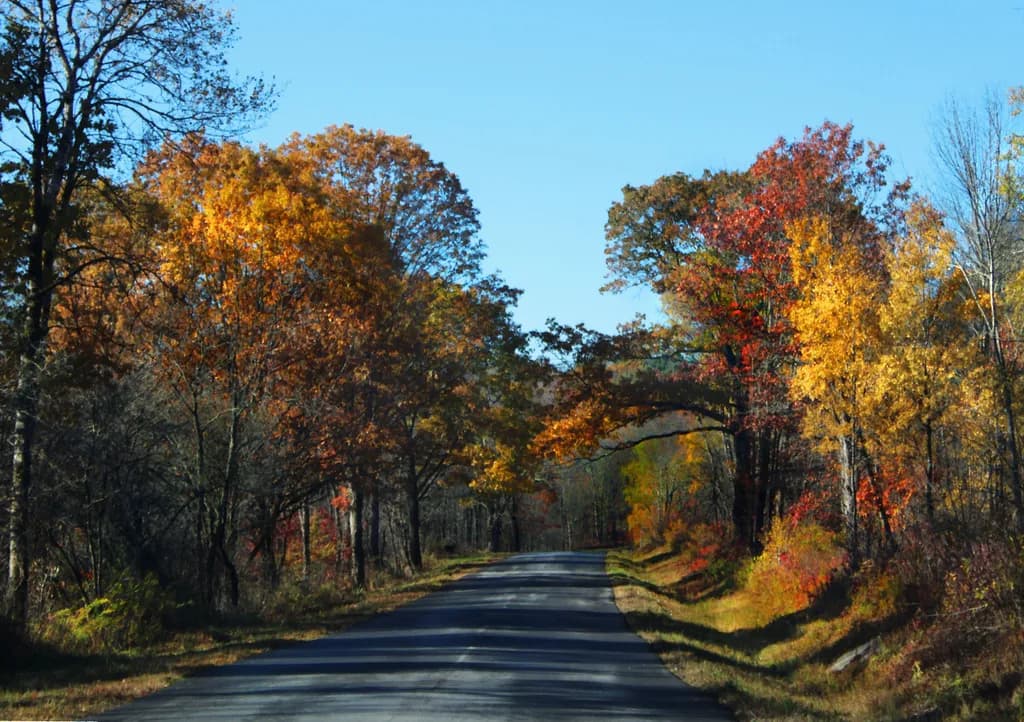 Autumn's Road Trip