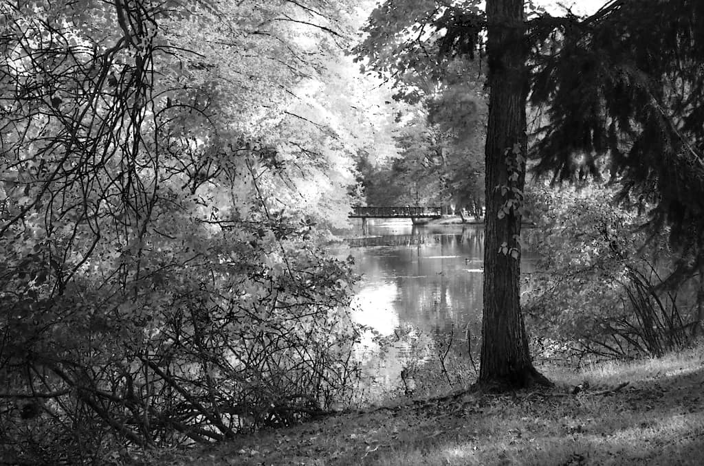 Quiet Reflections