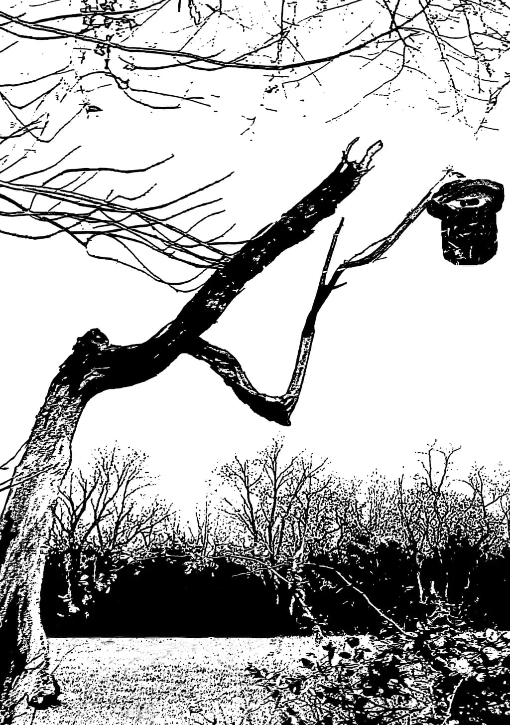 Branching Out