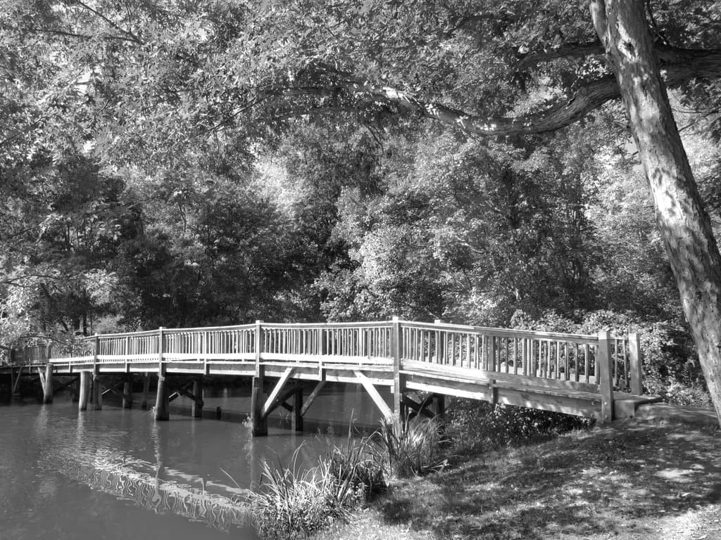 Bridging Nature's Calm