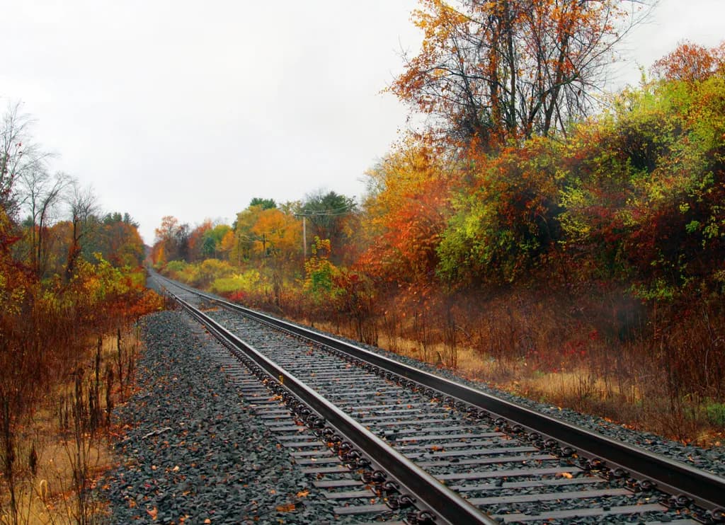 Autumn Tracks