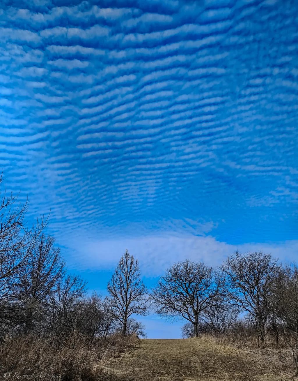 Wave Cloud Horizon