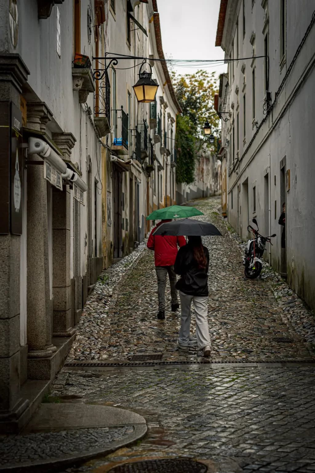 Rainy Stroll