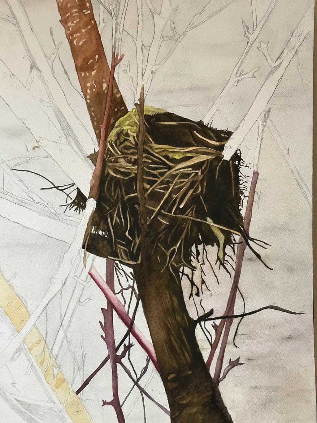 Nest Refuge