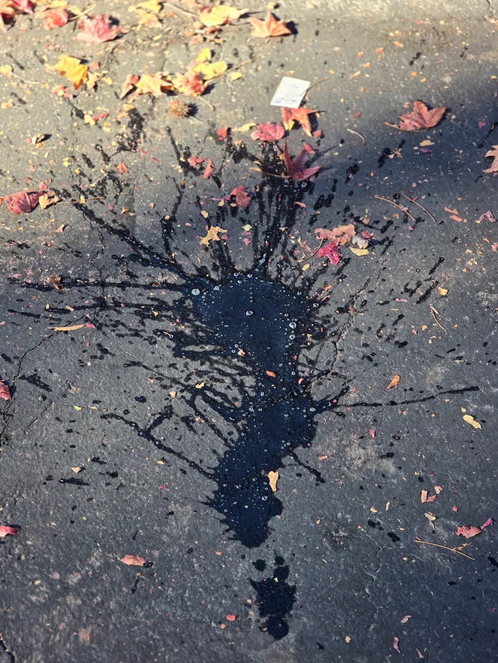Emergent Reality