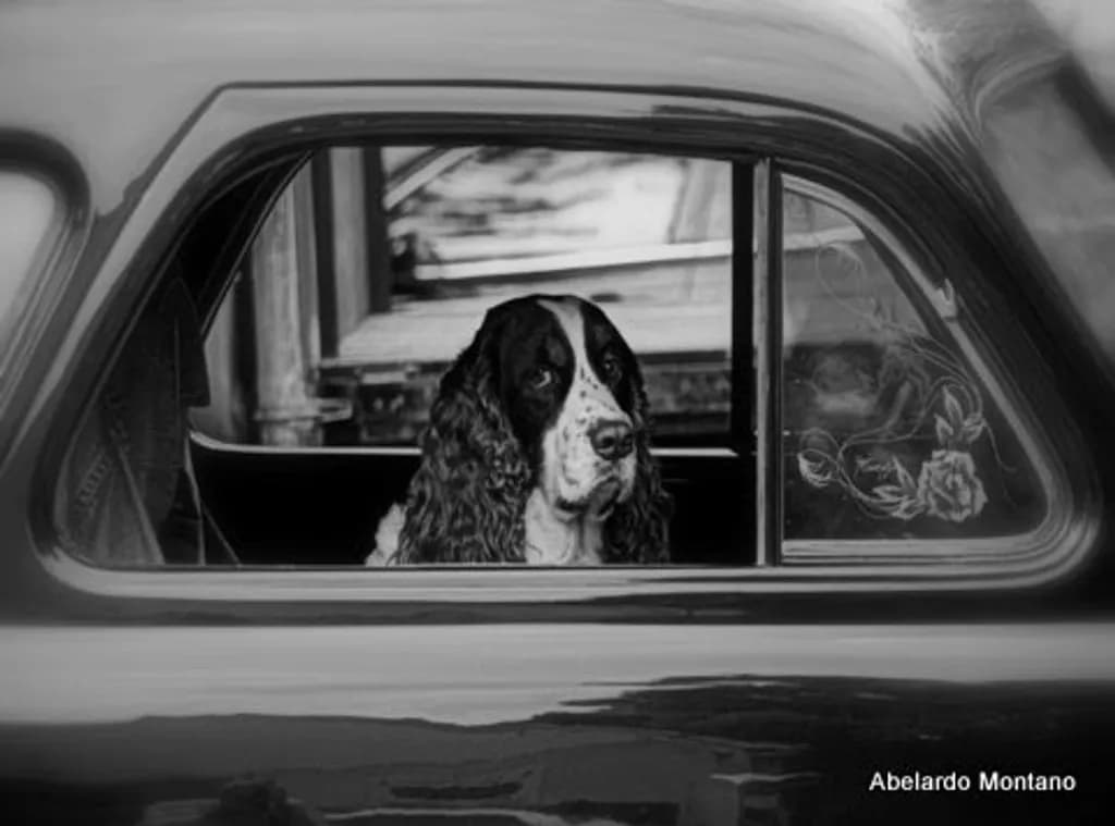 Waiting Passenger