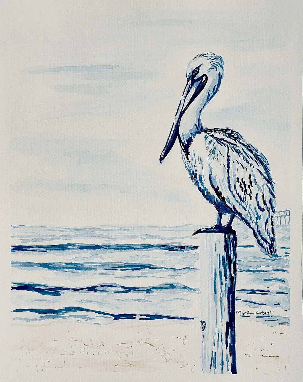 If a PeliCAN, you can too