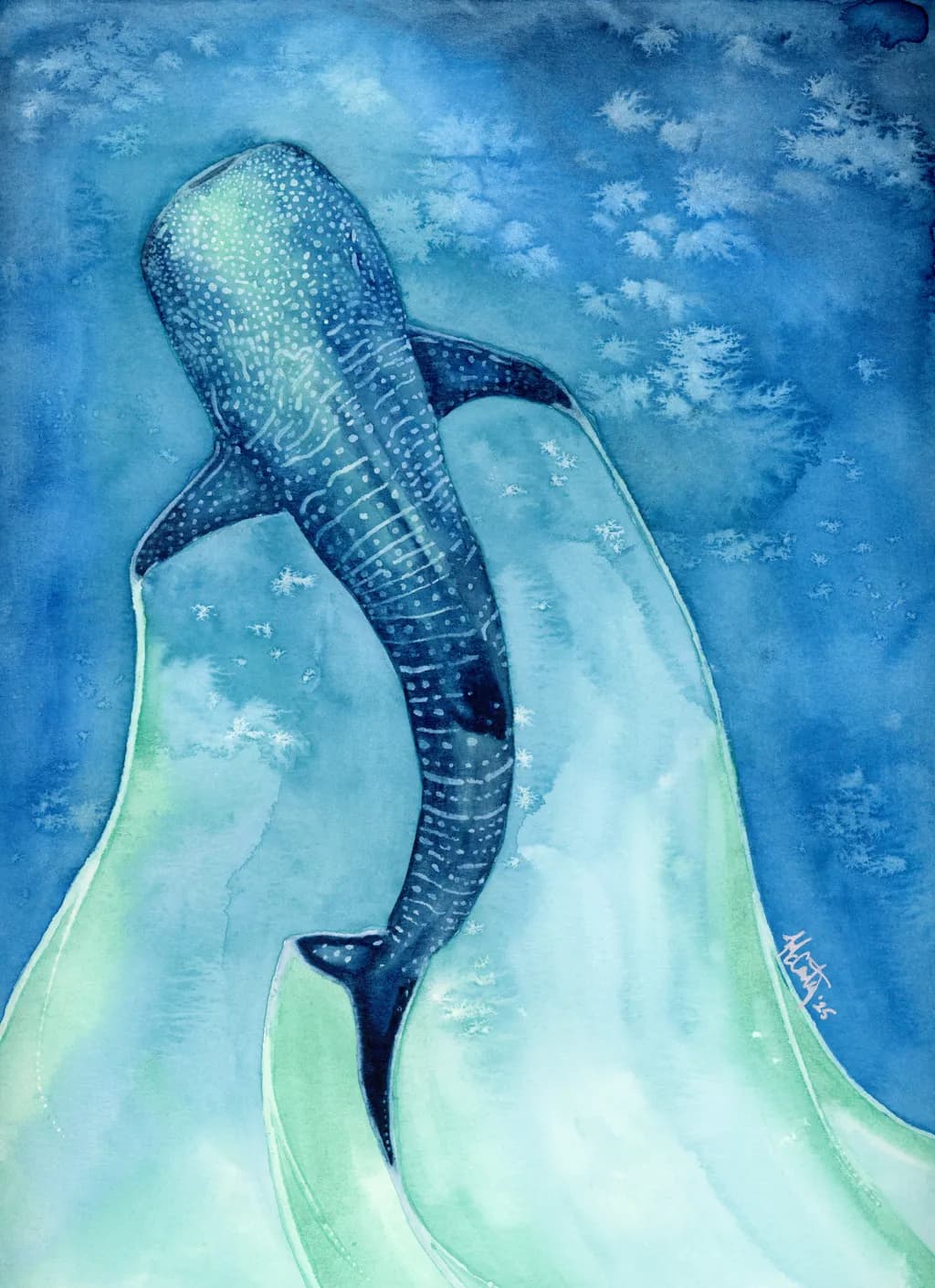 Whale of a Time: A Serene Dive into Oceanic Wonders