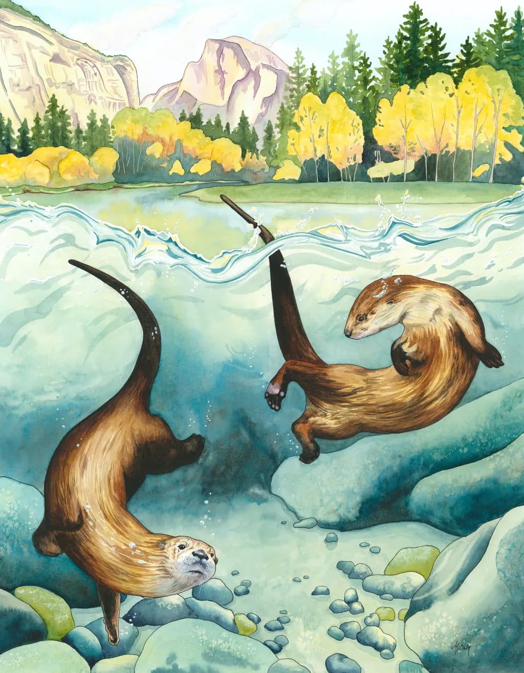 Otter Currents