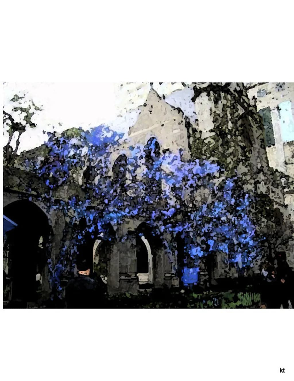 Cobalt Bloom