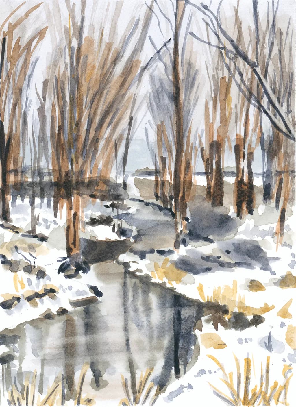 Edge of Smallwood Lake