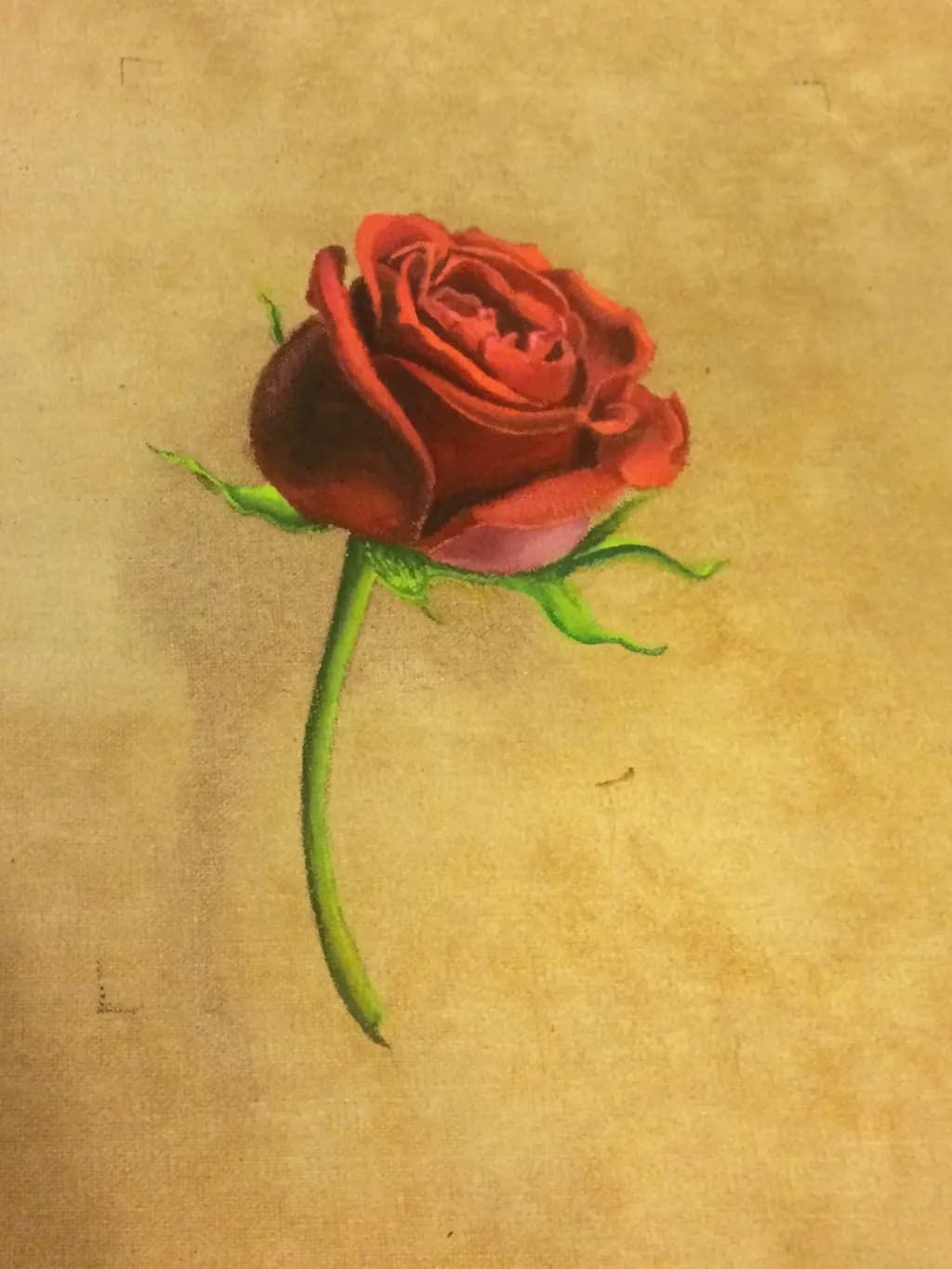 Crimson Bloom