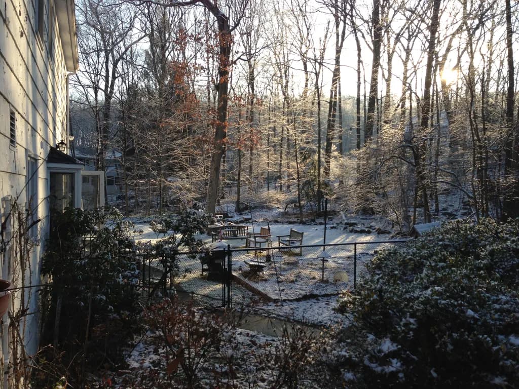 Winter's Embrace