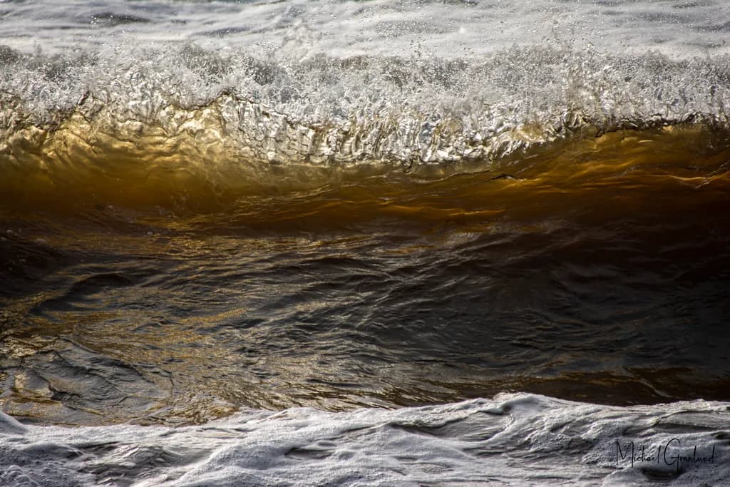 Ebb and Flow: The Dance of Water and Light in Nature's Reflection