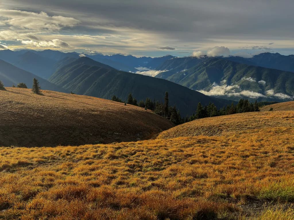 Whispers of the Mountains: A Serene Landscape of Golden Grasses and Majestic Peaks