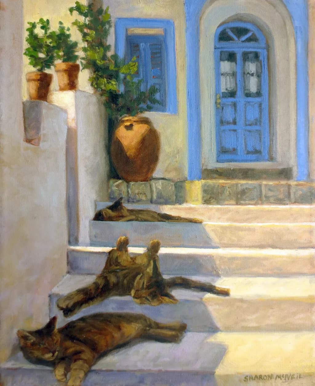 Siesta Shadows