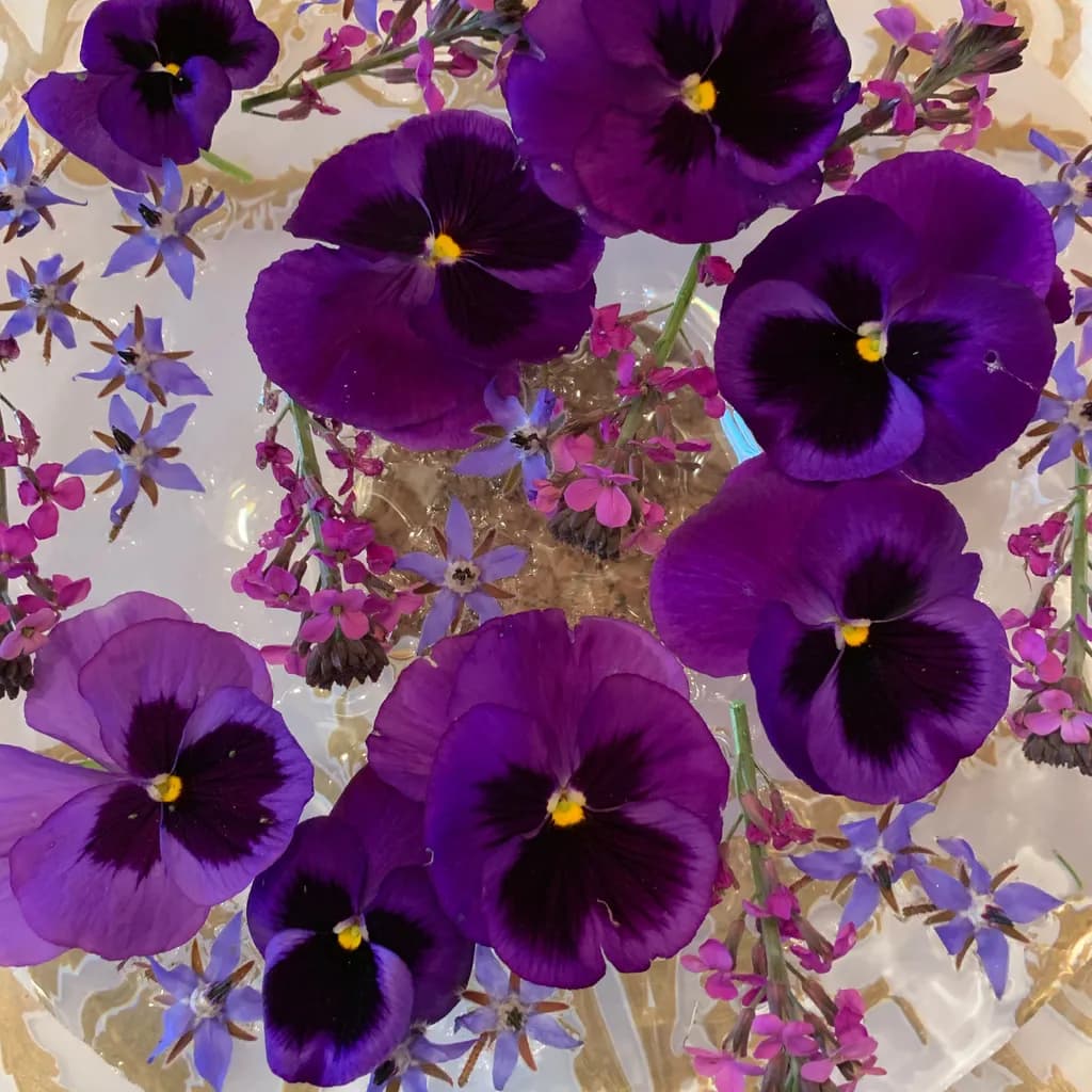 Purple Blooms