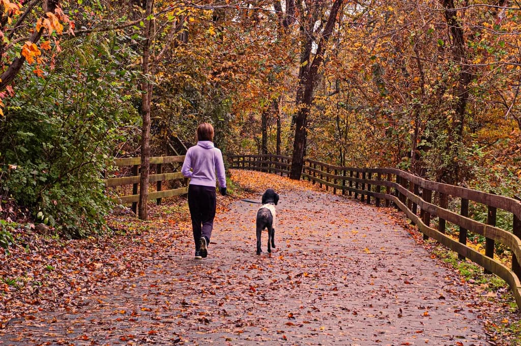 The Path