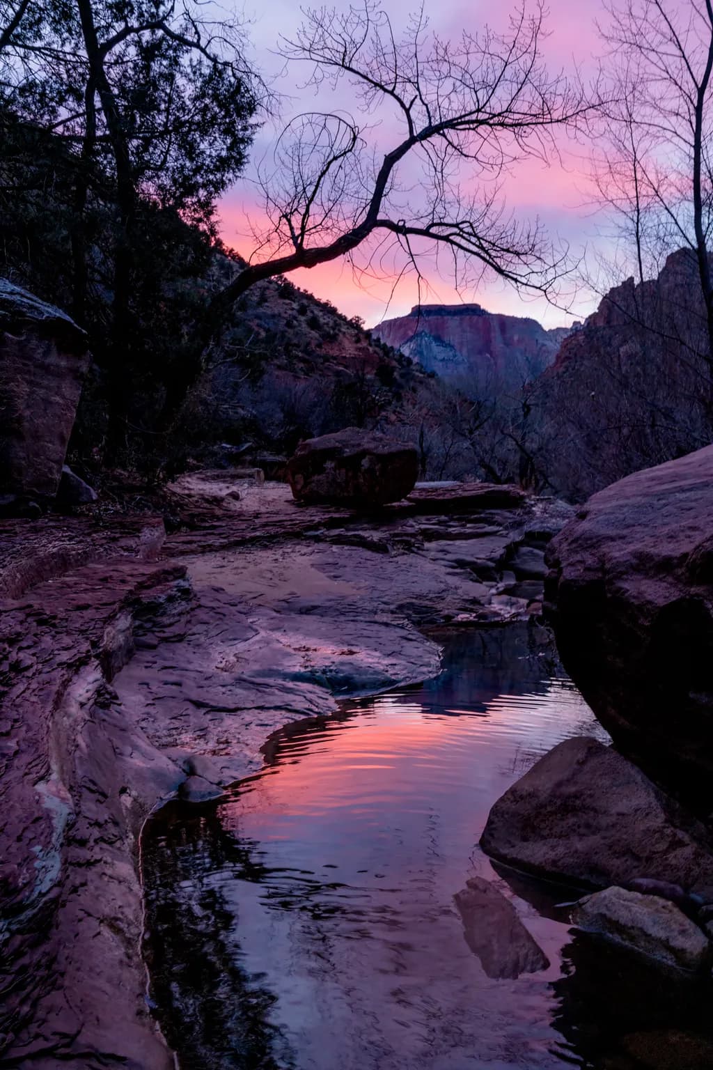Whispers of Twilight: A Serene Reflection in Zion's Embrace