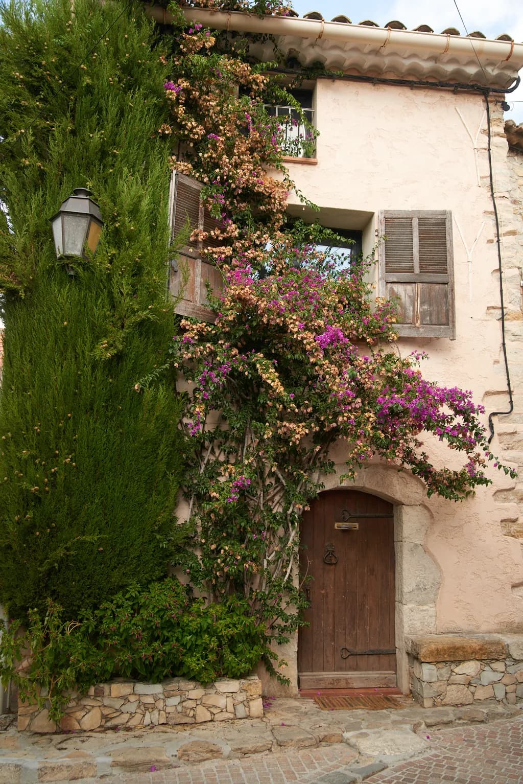 Rustic Doorway with Bougainvillea