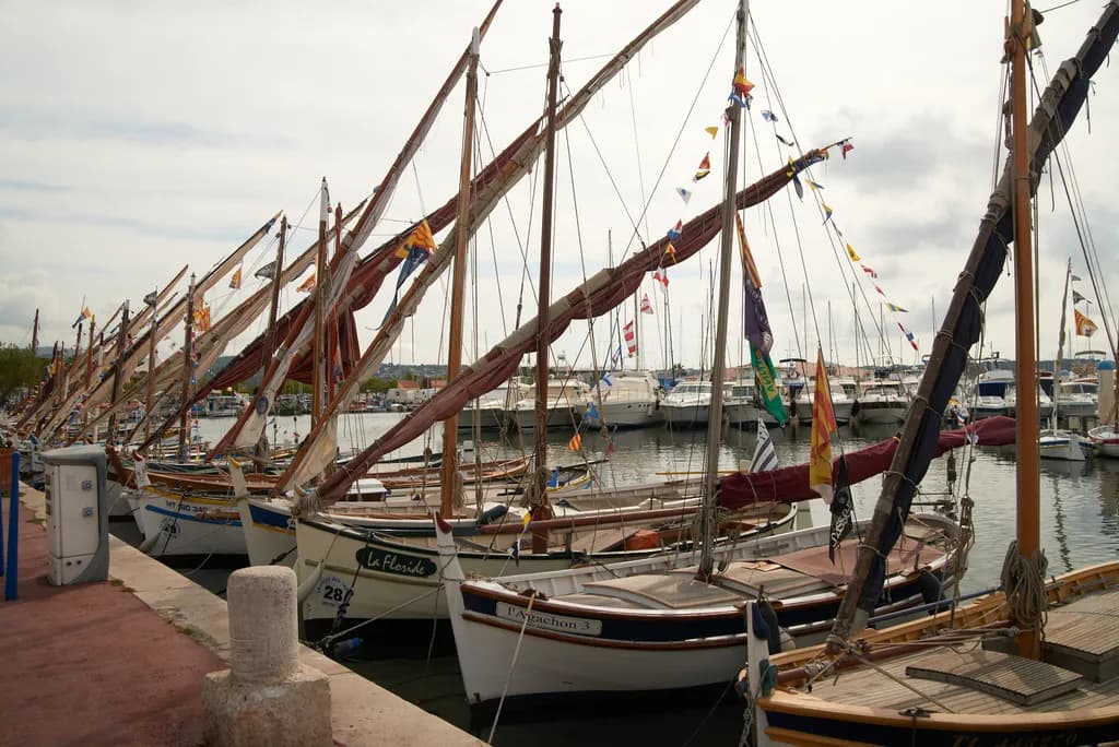 Docked Sailboats at Harbor