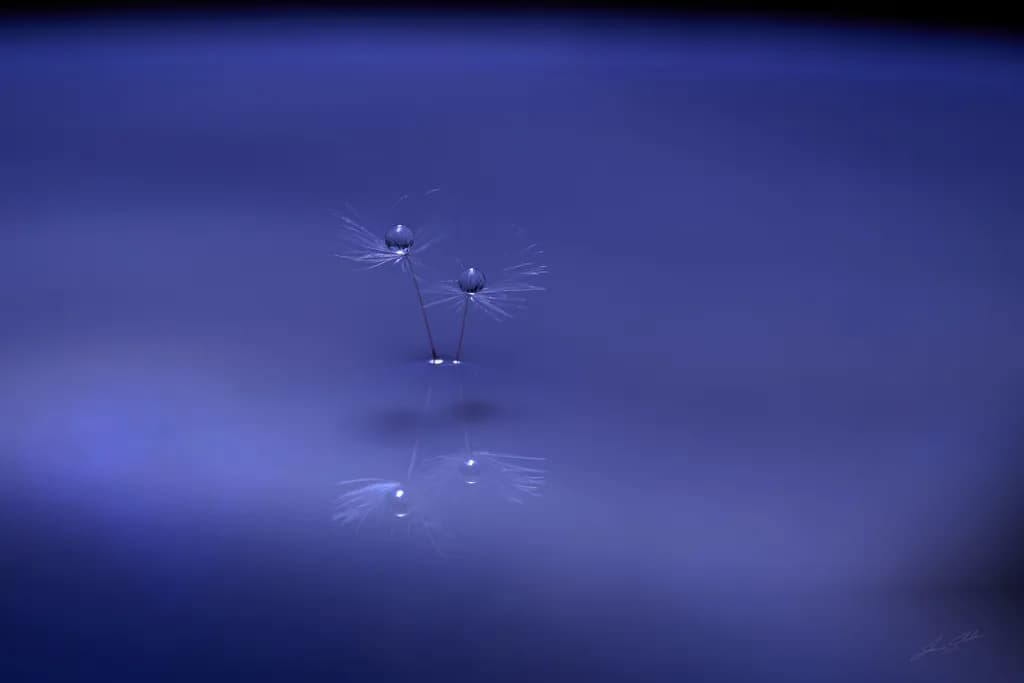 Two Drops Reflection