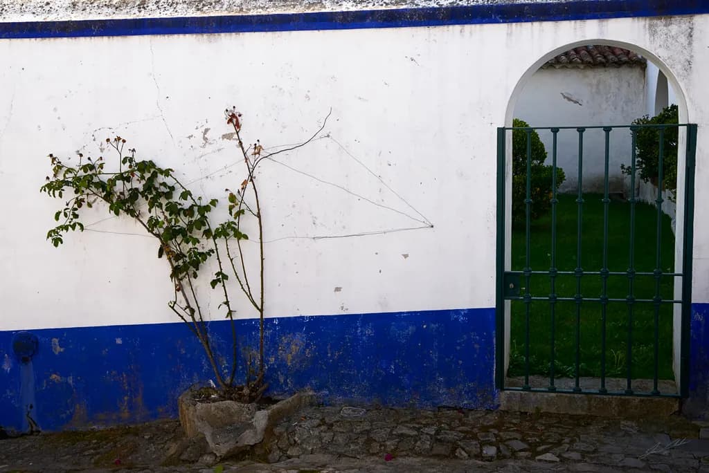 Blue Border Gate
