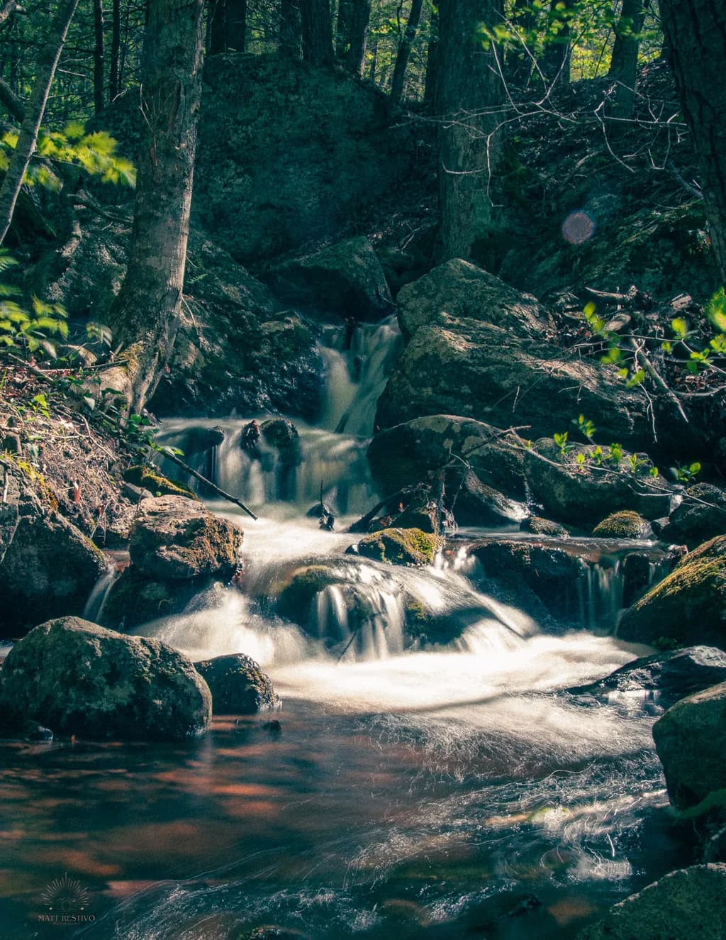 Whispers of the Stream: A Serene Journey Through Nature's Flow