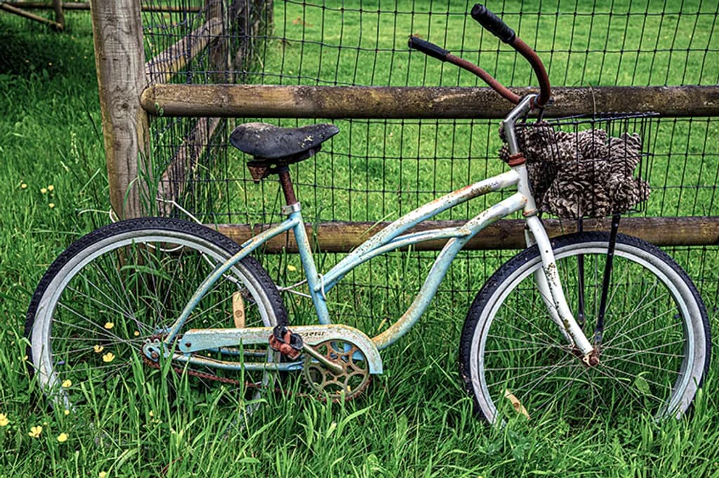 Abandoned Bicycle