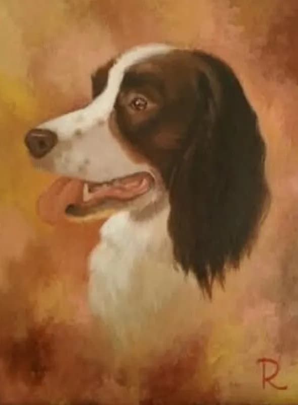 Whiskers and Wags: A Heartfelt Portrait of a Loyal Companion