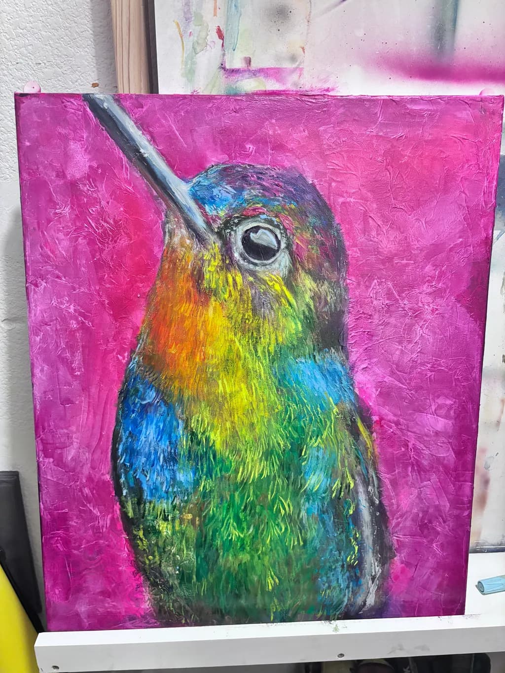 Colorful Hummingbird Gaze