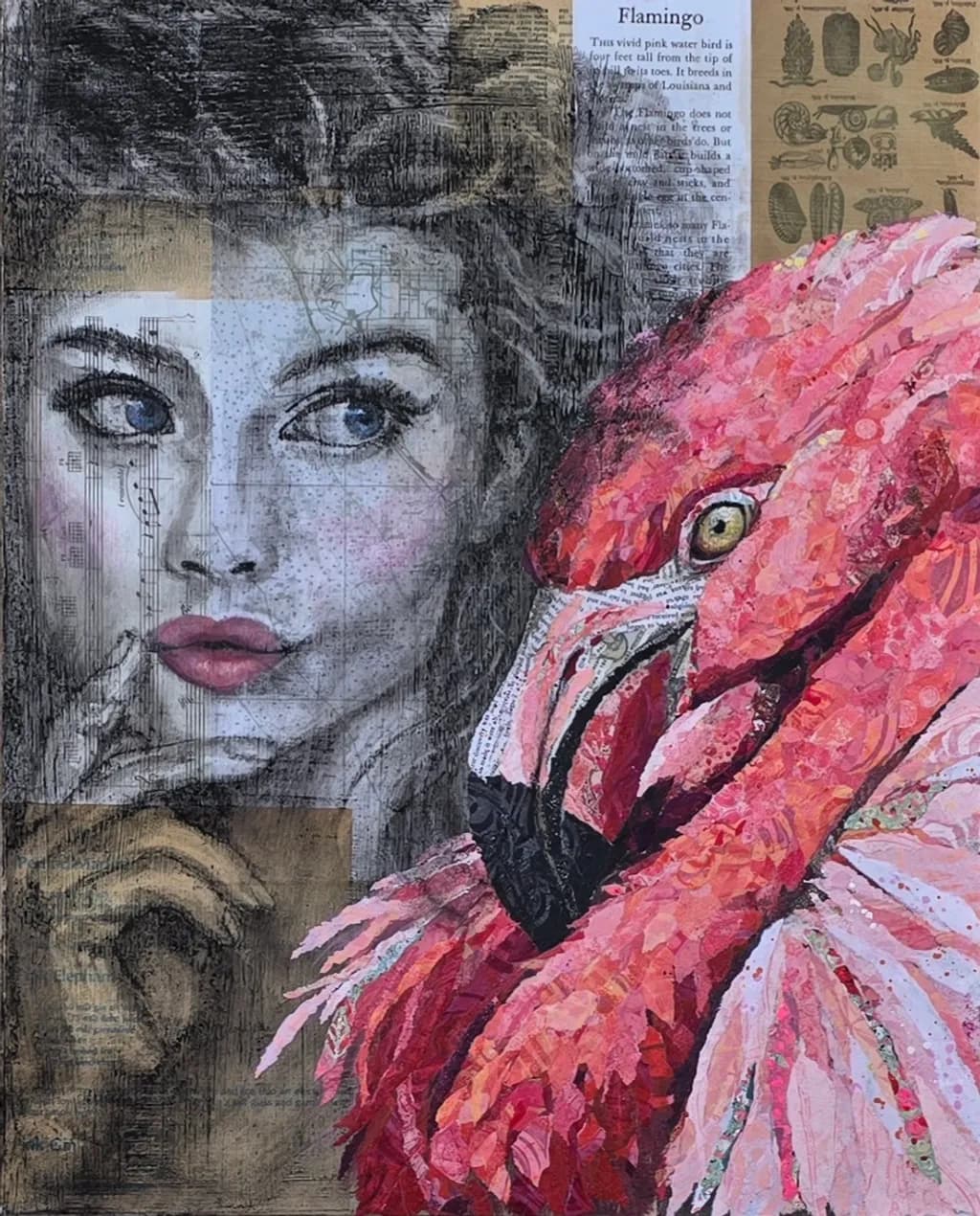 Flamingo Gaze