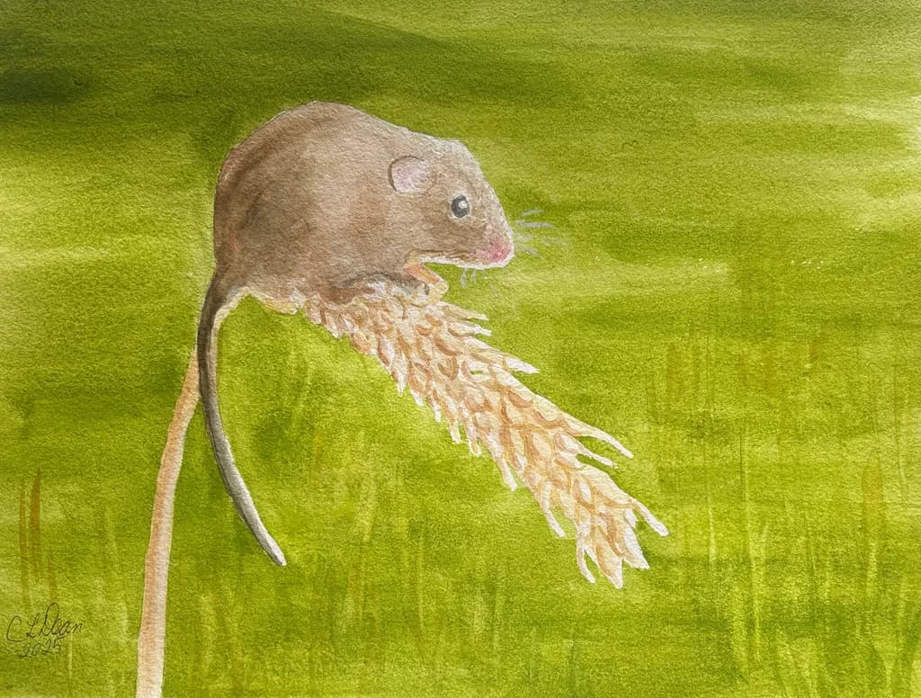 Whiskers in the Wheat: A Watercolor Journey Through Nature's Delicate Balance