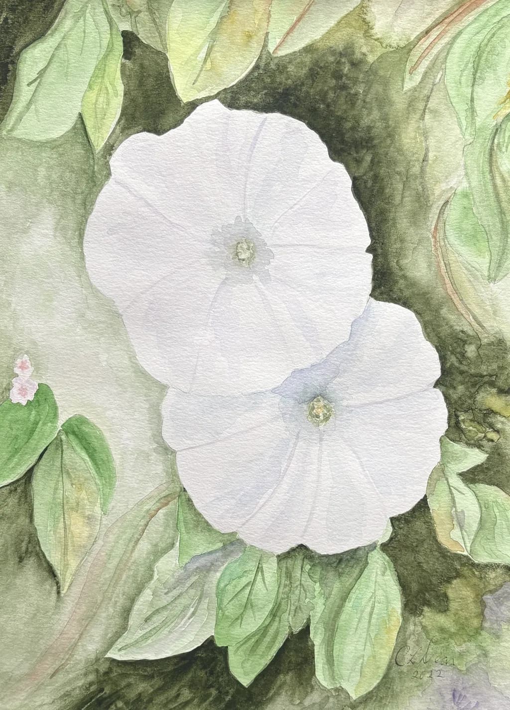 Whispers of Serenity: A Delicate Dance of White Blooms and Lush Greenery
