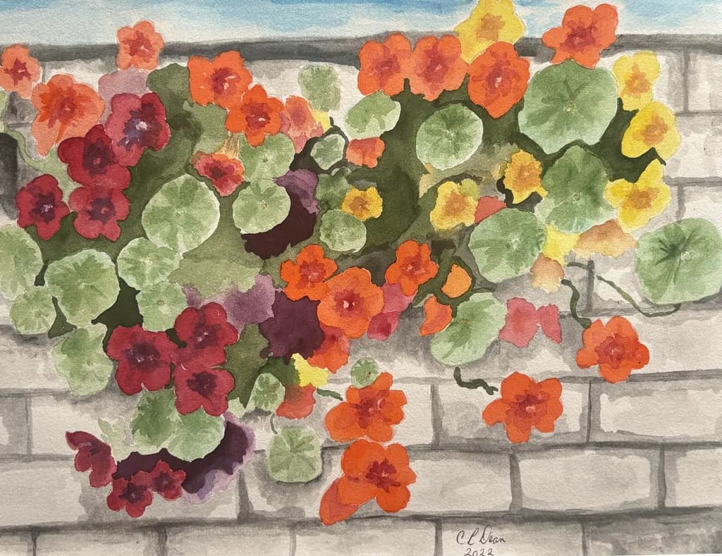 Vibrant Blossoms Against a Stone Canvas: A Watercolor Celebration of Nature's Palette
