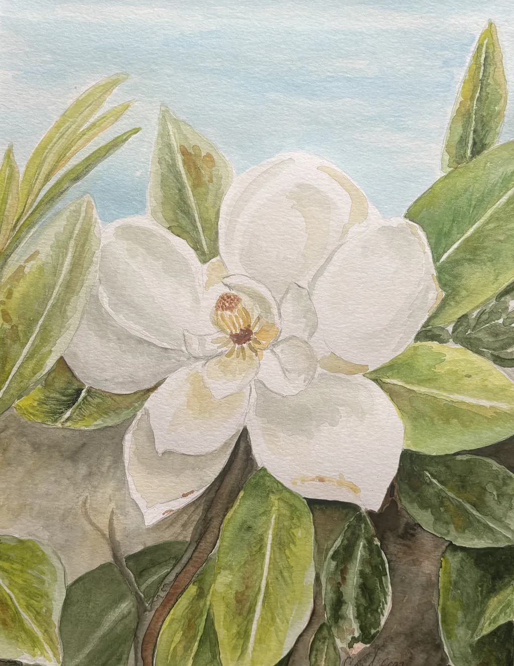 Whispers of Spring: A Delicate Magnolia Blossom in Watercolor Elegance