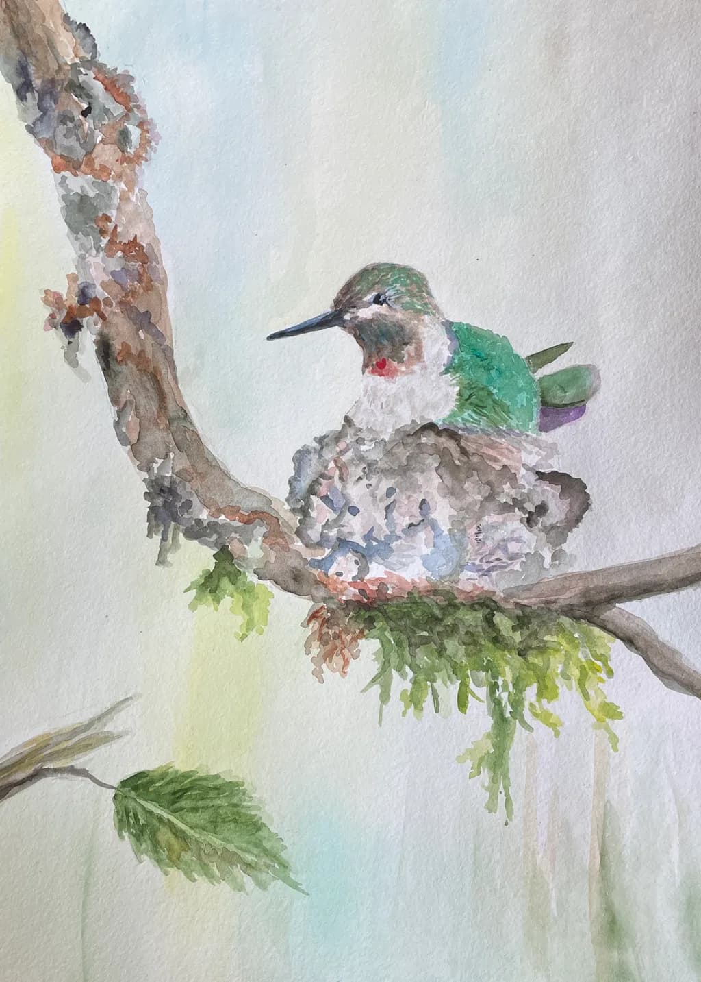 Whispers of Nature: A Hummingbird's Nest in Watercolor Serenity