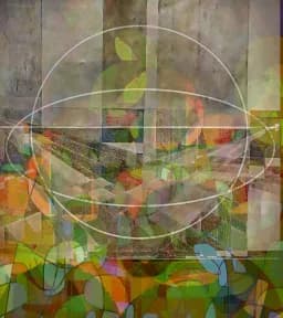 Orbit of Leaves