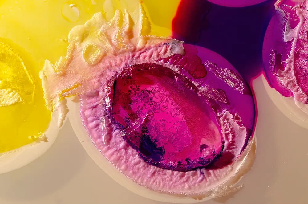 Whispers of Color: A Journey Through Emotion and Nature's Palette