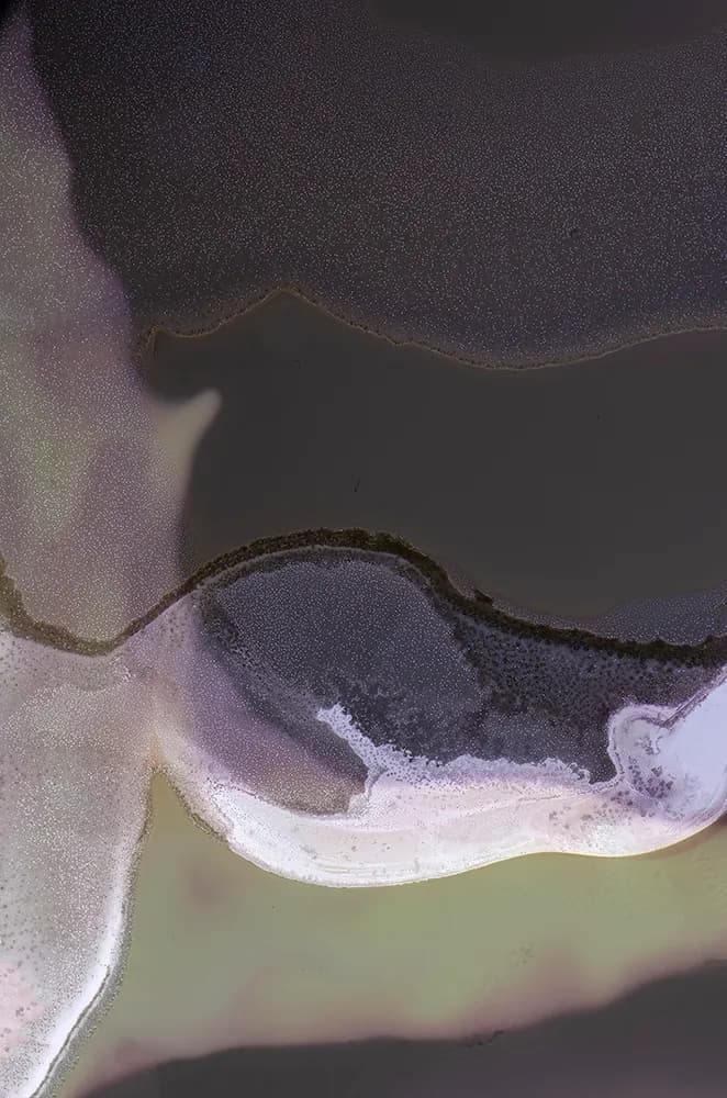 Whispers of Connection: A Journey Through Nature's Embrace
