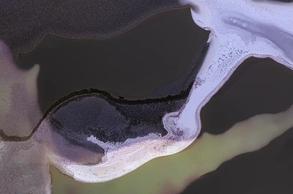 Whispers of Nature: A Journey Through Fluid Connections and Emotional Landscapes