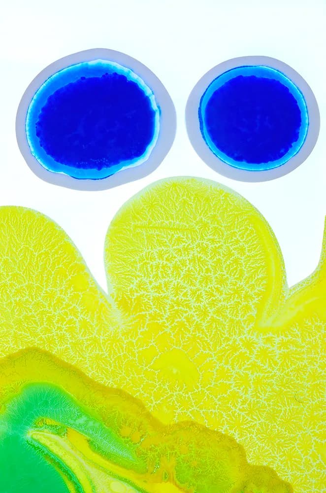 Whispers of Connection: A Colorful Exploration of Nature and Emotion