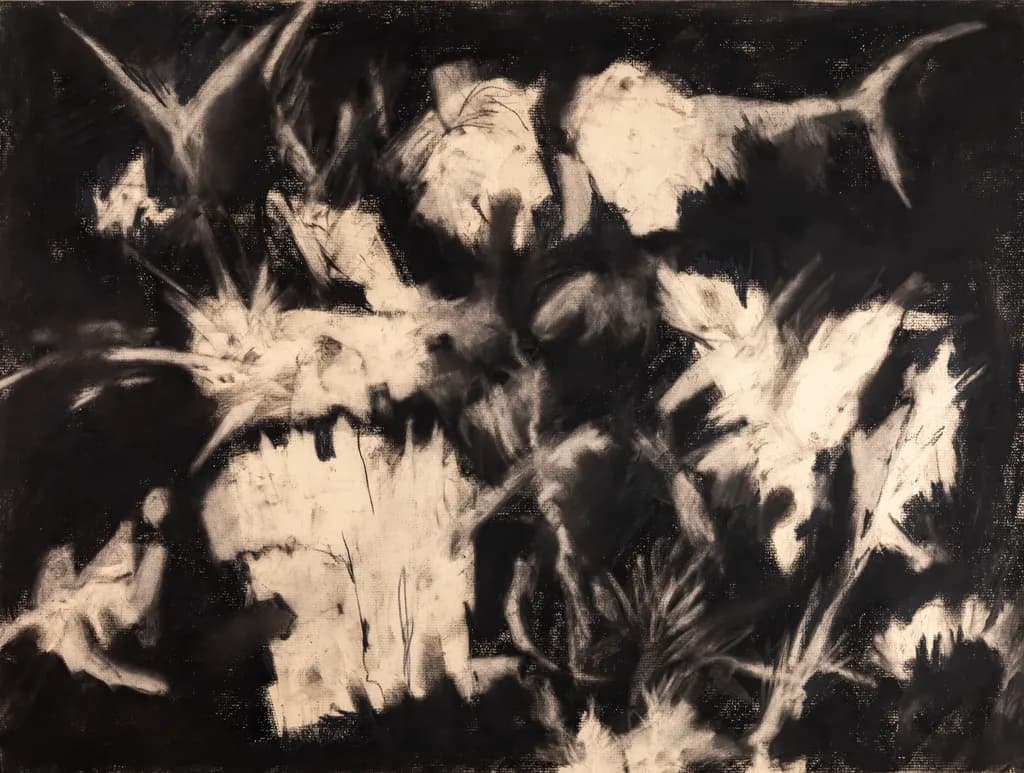 Chaotic Harmony: An Abstract Exploration of Monochrome Textures and Organic Forms