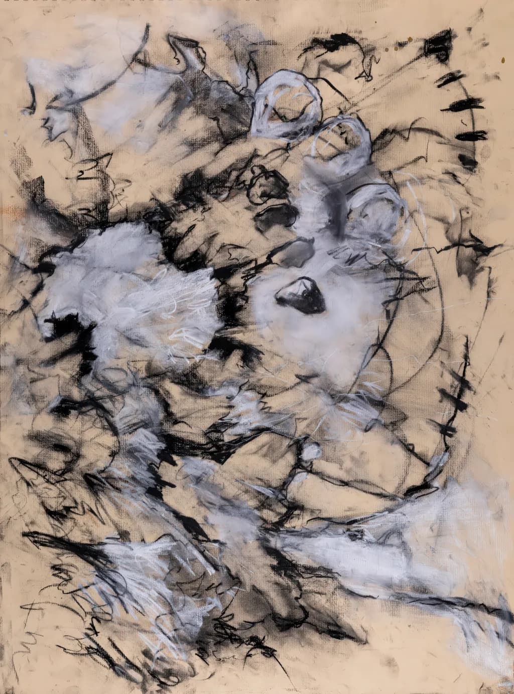 Whispers of Chaos: An Abstract Monochrome Journey Through Fluid Textures and Expressive Forms