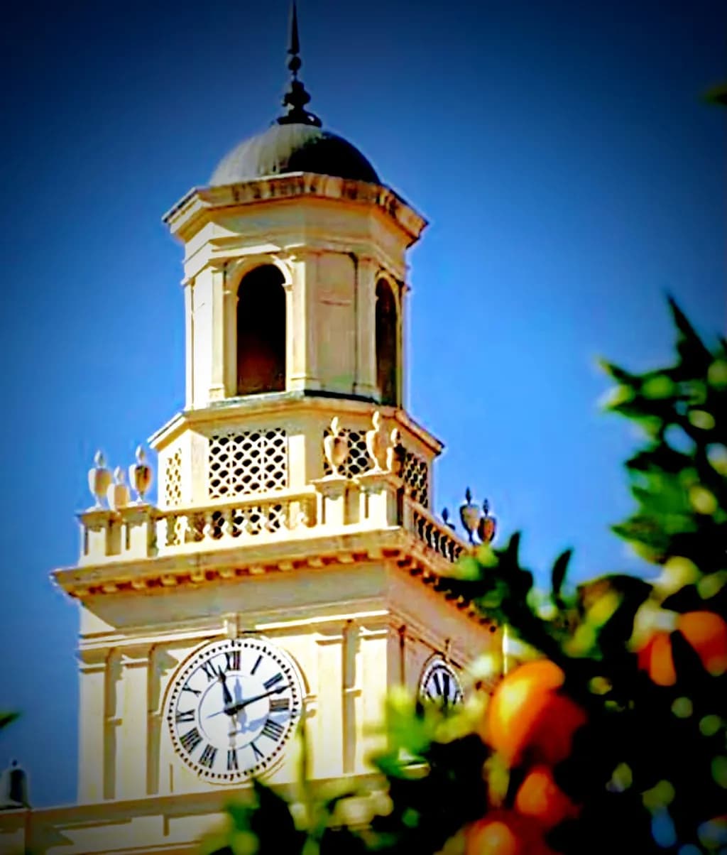 Clock Tower Citrus