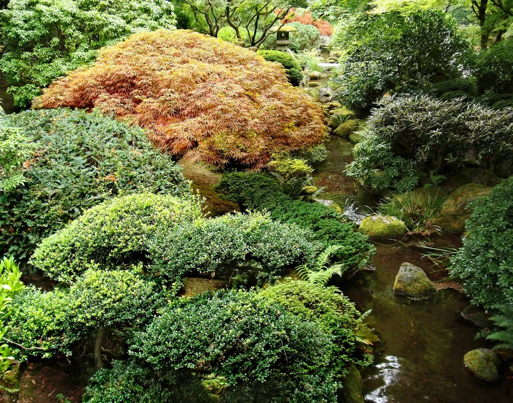 Japanese Gardens