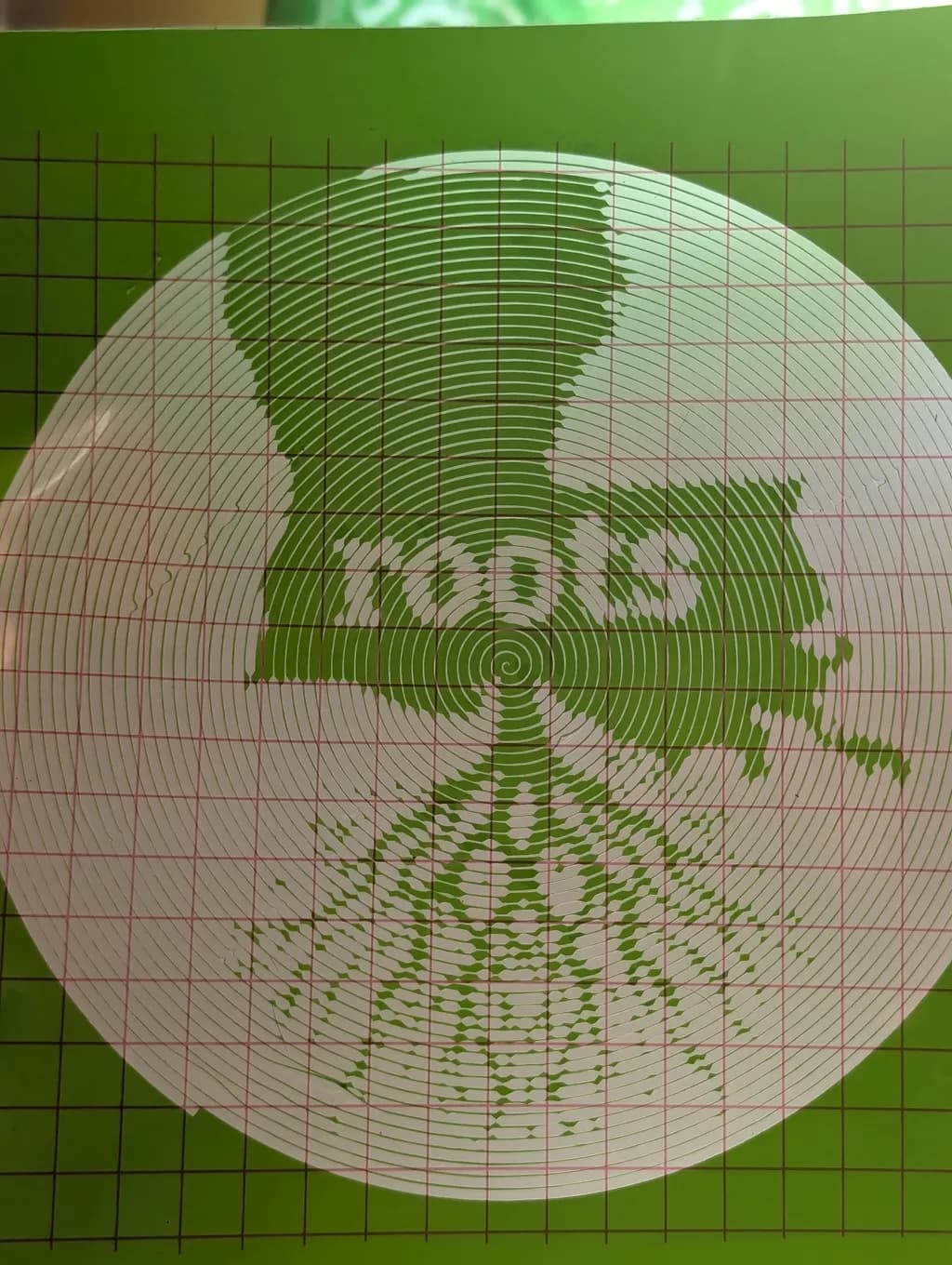 Roots