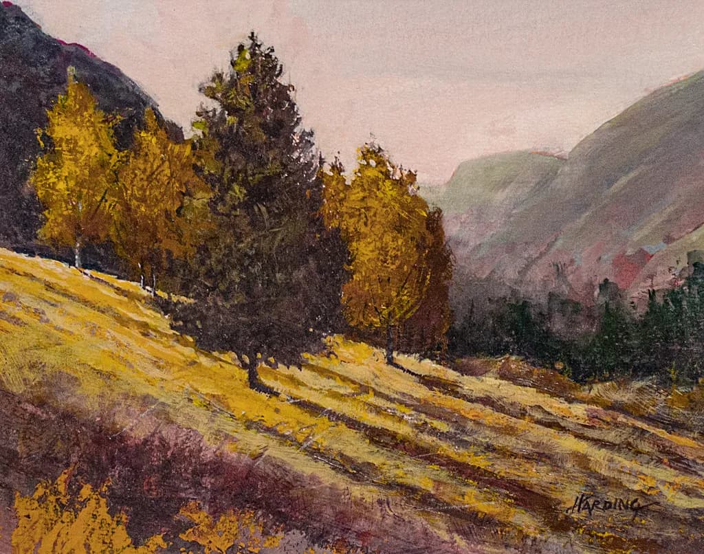 Golden Light on the Western Slope